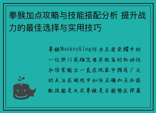 拳猴加点攻略与技能搭配分析 提升战力的最佳选择与实用技巧